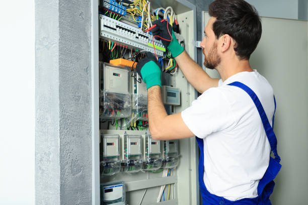 Best Electrical System Inspection  in Bonnie Brae, IL