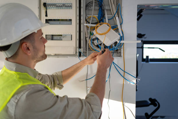Best Electric Panel Repair  in Bonnie Brae, IL